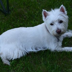 Meet your Posher, Agathe